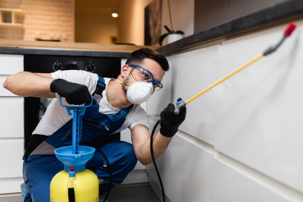 Best Local Pest Control Services  in Teays Valley, WV