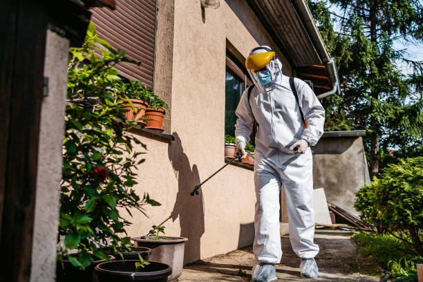Best Insect Control  in Teays Valley, WV