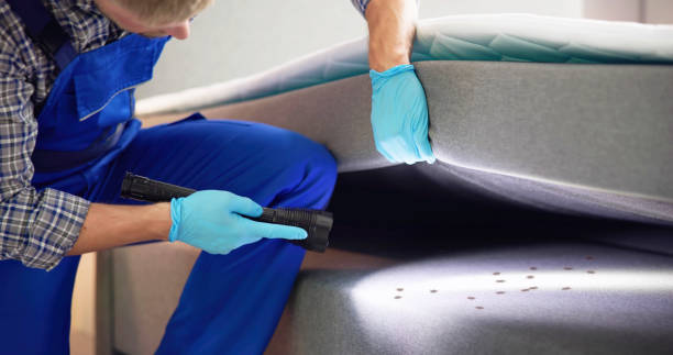 Best Emergency Pest Control  in Teays Valley, WV