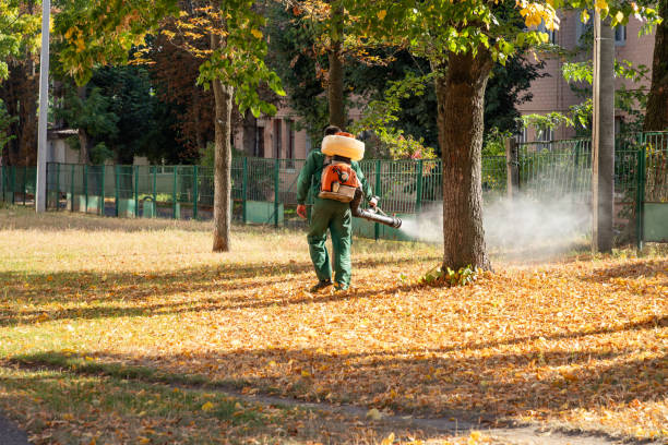 Best Pest Prevention Services  in Teays Valley, WV
