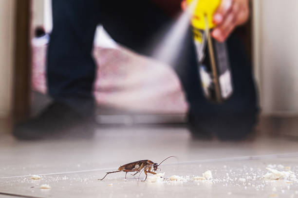 Best Local Pest Control Services  in Teays Valley, WV