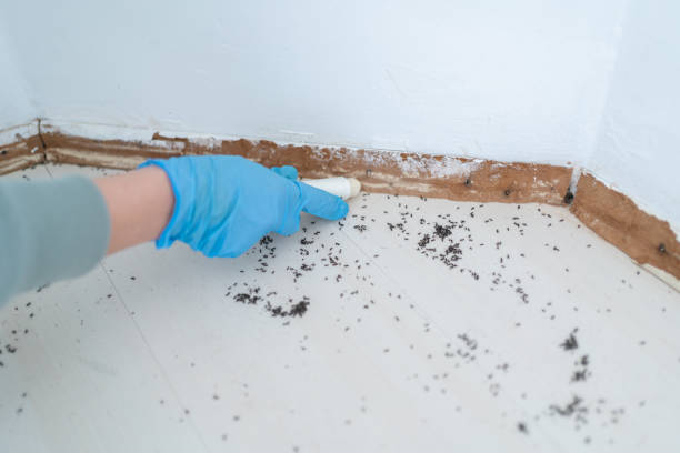 Best Residential Pest Control  in Teays Valley, WV