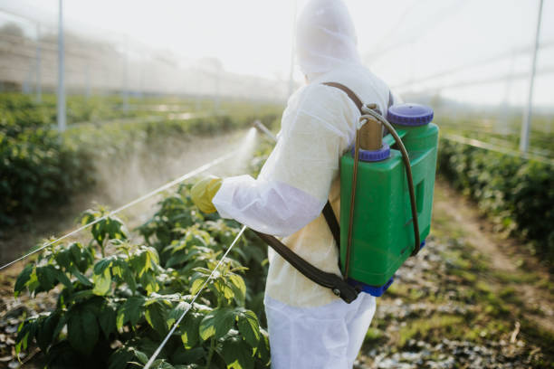 Best Wildlife Control Services  in Teays Valley, WV